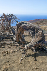 Volcanic landscape near Orchilla lighthouse on the southwest coast of the El Hierro island, Canary Archipelago, Spain, Europe