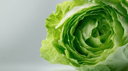 Fototapeta premium Benefits of iceberg lettuce. Close-up of a fresh green lettuce head with textured leaves and soft lighting.