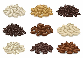Illustrated Piles of Various Rice Grains: White, Brown, and Black Varieties, a collection of different uncooked cereal types.