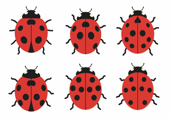 Set of six cute cartoon ladybugs with various spot patterns, isolated on a white background, perfect for spring and nature designs.