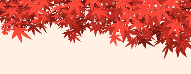 Japanese red clover branch banner. Autumn leaves background vector illustration