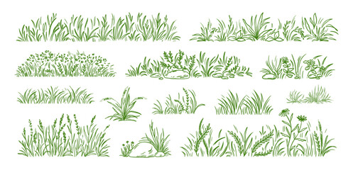 Grass field. Flower clump, small clover sketch or weed bush garden. Turf border texture, hand drawn plant lines. Decorative botanical meadow nature summer garden. Vector herbal doodles set
