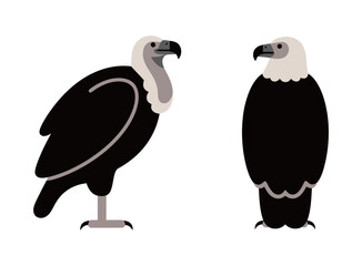 A set of simple, black and white, flat vector illustrations of a majestic vulture or eagle, showing its front and side profiles on a clean background.