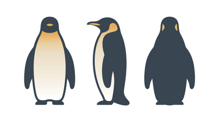 A set of simple, flat vector illustrations of a penguin, showcasing its front, side, and back views in a clean and modern style.