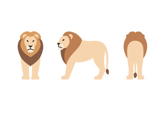 A set of simple, flat vector illustrations of a lion, showcasing its front, side, and back views in a clean and modern style.