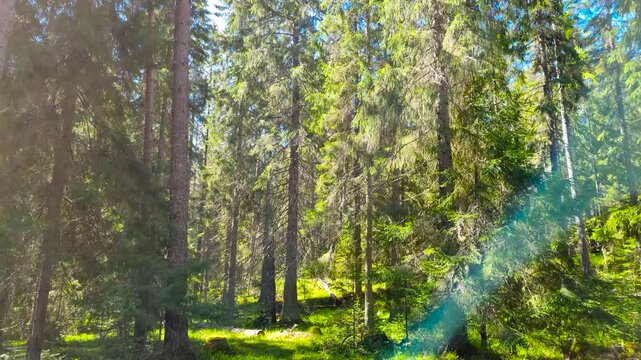 Church of the Resurrection of Christ. Valaam Island. Lake Ladoga. Russia. 