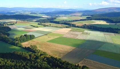 Aerial View of Patchwork Farmland in Muted Greens