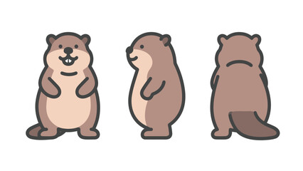 Three different views of a cute groundhog or marmot, front, side, and back, vector illustration in a simple graphic style on a white background