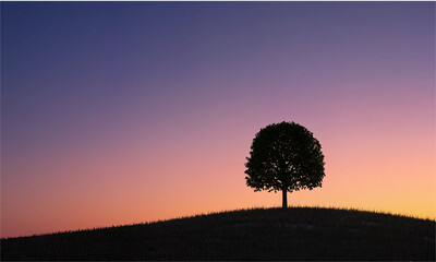 A minimalist landscape of a single tree