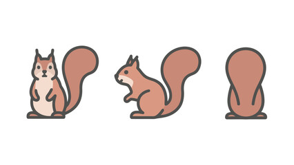 Flat vector illustration of a cute cartoon squirrel from the front, side, and back, isolated on a white background.