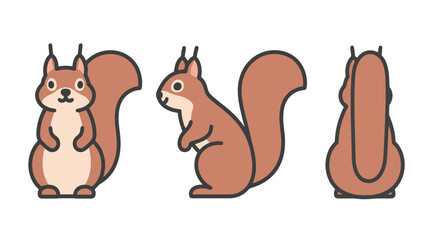 Cute flat vector illustration of a cartoon squirrel from the front, side, and back, isolated on a white background.
