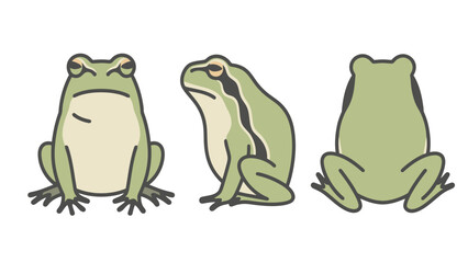 Flat vector illustration of a cute cartoon frog from the front, side, and back, isolated on a white background.