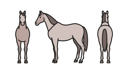 Flat vector illustration of a cartoon horse from the front, side, and back, isolated on a white background.