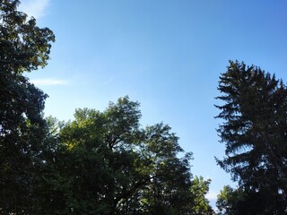 Perfect beautiful nature pictures