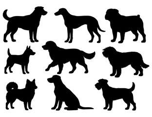 A set of dog silhouettes, including a pug, a bulldog, a dachsund, a terrier, a shih tzu, a golden retriever, a labra. Vector. Silhouette illustration.
