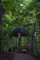 gazebo in the rain forest