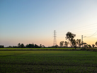 High Voltage Tower Amid Rural Rice Paddies at Sunset.