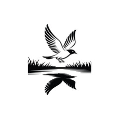 Fototapeta premium Bird flying over water with reflection wings open wings