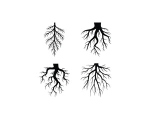 Tree root icon set silhouette vector illustration