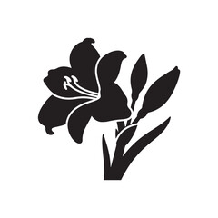 Obraz premium Amaryllis Vector (5).eps