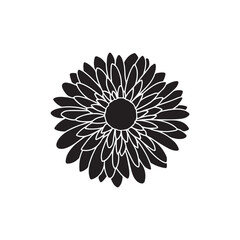 chrysanthemum vector (7).eps