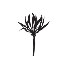 Freesia Vector (7).eps