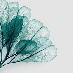 Delicate, teal-colored, translucent leaves form an artistic arrangement against a soft background.