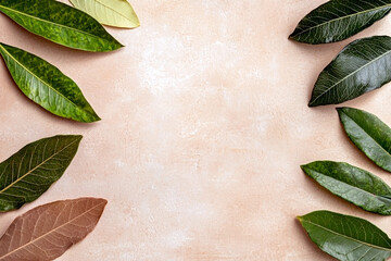 Fototapeta premium Green leaves frame on pastel textured background with copy space, natural botanical border for eco design