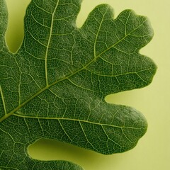Close-up view of a vibrant green oak leaf, showcasing intricate venation patterns against a soft pastel background.