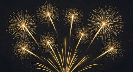 Golden fireworks display against a dark night sky celebrating a special occasion
