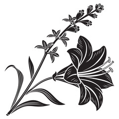 Black and white silhouette of a lily flower and lavender sprig