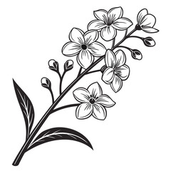 Black and white illustration of a flowering branch with leaves and buds