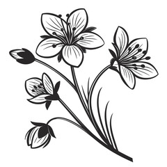 Black and white illustration of delicate blooming flowers and buds on stems