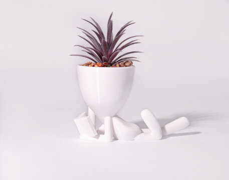 Succulent in funny fliwer pot in a shape of man reading book