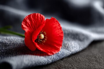 Vibrant red poppy on elegant denim fabric background
