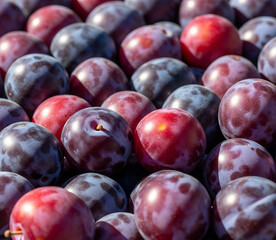 close up of plums on a white background