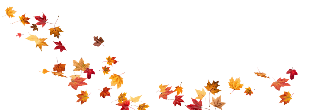 PNG Falling leaves, autumn foliage on transparent background, beautiful background Overlay orange and gold leaves. Vector maple leaf, png, flying foliage from tree.