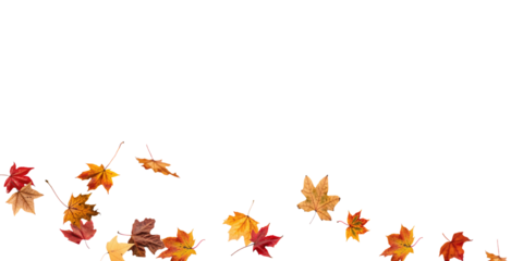 PNG Falling leaves, autumn foliage on transparent background, beautiful background Overlay orange and gold leaves. Vector maple leaf, png, flying foliage from tree.	