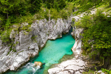 turquoise mountain river flowing trough the white rocky canyon surrounded by fresh lush greenery....