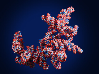 Multimeric RNA. Stable RNA-based therapeutics. Multimerization of RNA  ensures high stability, high efficacy, and prolonged action of RNA-based drugs. 