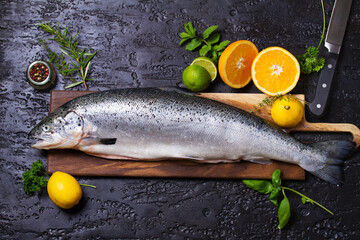 Raw whole salmon fish on black background. View from above, top studio shot