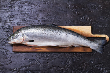 Raw whole salmon fish on black background. View from above, top studio shot
