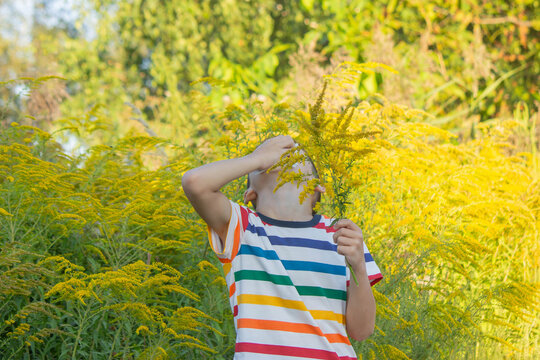 boy allergic to ragweed. Selective focus