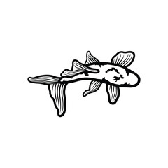 Koi fish logo design vector template. Koi fish line art. Koi fish japanese logo vector element