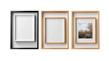 Artistic Display Frames: An artful array of modern picture frames, showcasing different designs and elegant aesthetics, ready to elevate any artwork.