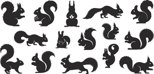 Squirrel silhouette collection, vector squirrel icons, black squirrel clipart, forest animal silhouette, cute squirrel poses, wildlife graphic design elements © kulsum creatives