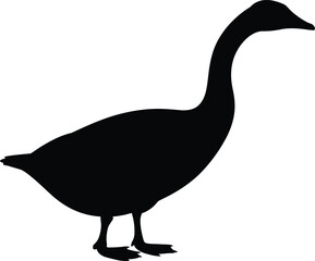 Geese Silhouette, Silly Goose Vector