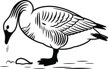 Geese Silhouette, Silly Goose Vector