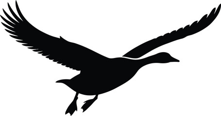 Geese Silhouette, Silly Goose Vector