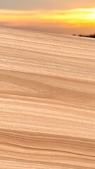 Golden, horizontal lines of tilled field at sunset